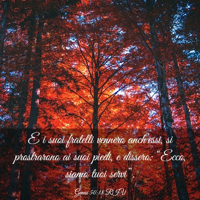 Picture 03 - Genesi 50:18 RIV - E i suoi fratelli vennero anch’essi, si - Bible Verse Picture