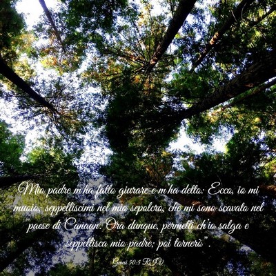 Picture 03 - Genesi 50:5 RIV - Mio padre m’ha fatto giurare e m’ha detto: - Bible Verse Picture