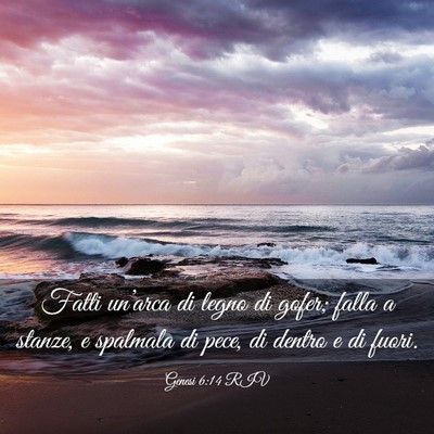 Picture 03 - Genesi 6:14 RIV - Fatti un’arca di legno di gofer; falla a - Bible Verse Picture