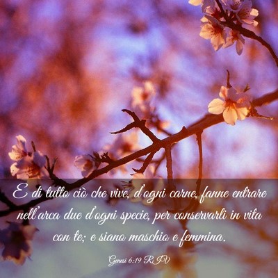 Picture 03 - Genesi 6:19 RIV - E di tutto ciò che vive, d’ogni carne, fanne - Bible Verse Picture