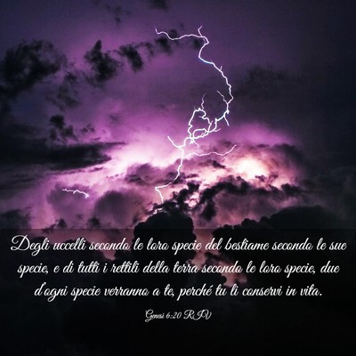 Picture 03 - Genesi 6:20 RIV - Degli uccelli secondo le loro specie del bestiame - Bible Verse Picture