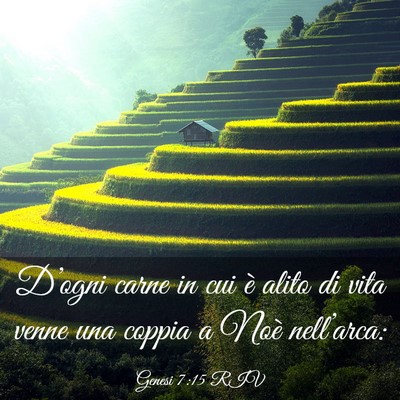 Picture 03 - Genesi 7:15 RIV - D’ogni carne in cui è alito di vita venne una - Bible Verse Picture