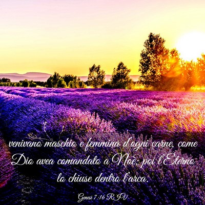 Picture 03 - Genesi 7:16 RIV - venivano maschio e femmina d’ogni carne, come - Bible Verse Picture