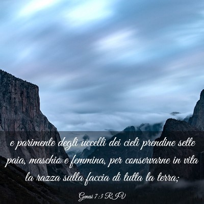 Picture 03 - Genesi 7:3 RIV - e parimente degli uccelli dei cieli prendine - Bible Verse Picture