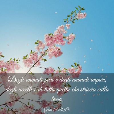 Picture 03 - Genesi 7:8 RIV - Degli animali puri e degli animali impuri, degli - Bible Verse Picture