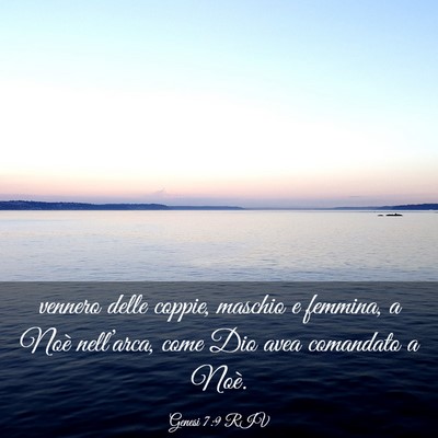 Picture 03 - Genesi 7:9 RIV - vennero delle coppie, maschio e femmina, a Noè - Bible Verse Picture