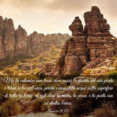 Picture 03 - Genesi 8:9 RIV - Ma la colomba non trovò dove posar la pianta del - Bible Verse Picture
