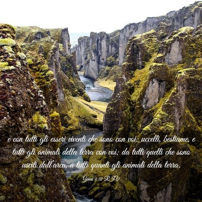 Picture 03 - Genesi 9:10 RIV - e con tutti gli esseri viventi che sono con voi: - Bible Verse Picture