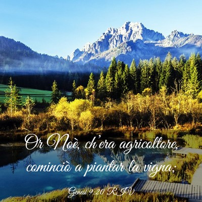 Picture 03 - Genesi 9:20 RIV - Or Noè, ch’era agricoltore, cominciò a - Bible Verse Picture