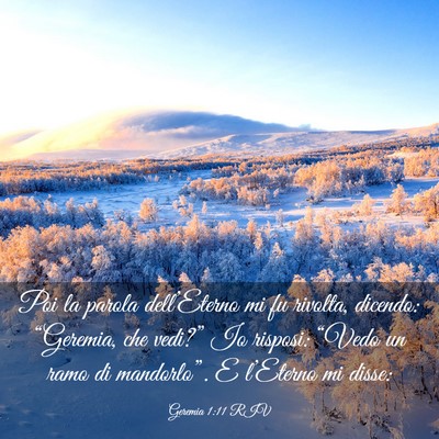 Picture 03 - Geremia 1:11 RIV - Poi la parola dell’Eterno mi fu rivolta, - Bible Verse Picture