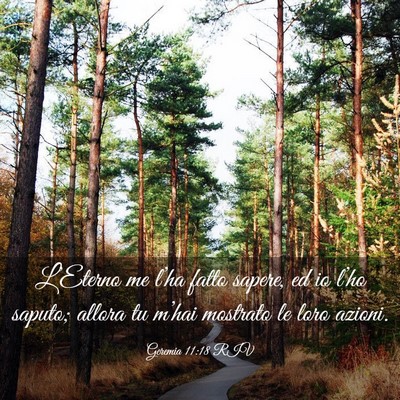 Picture 03 - Geremia 11:18 RIV - L’Eterno me l’ha fatto sapere, ed io l’ho - Bible Verse Picture