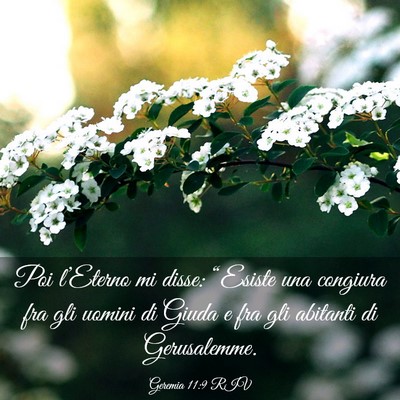 Picture 03 - Geremia 11:9 RIV - Poi l’Eterno mi disse: “Esiste una congiura - Bible Verse Picture