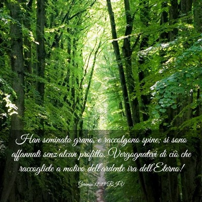 Picture 03 - Geremia 12:13 RIV - Han seminato grano, e raccolgono spine; si sono - Bible Verse Picture