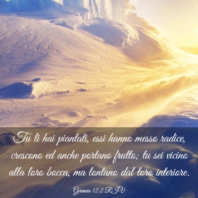 Picture 03 - Geremia 12:2 RIV - Tu li hai piantati, essi hanno messo radice, - Bible Verse Picture