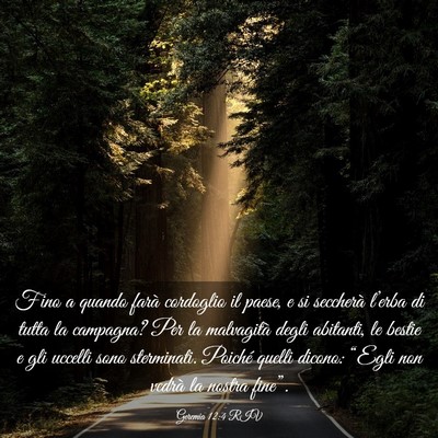 Picture 03 - Geremia 12:4 RIV - Fino a quando farà cordoglio il paese, e si - Bible Verse Picture