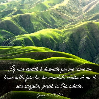 Picture 03 - Geremia 12:8 RIV - La mia eredità è divenuta per me come un leone - Bible Verse Picture