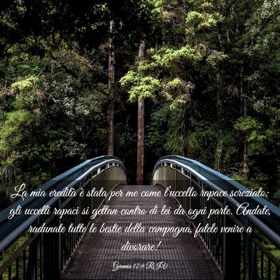 Picture 03 - Geremia 12:9 RIV - La mia eredità è stata per me come l’uccello - Bible Verse Picture