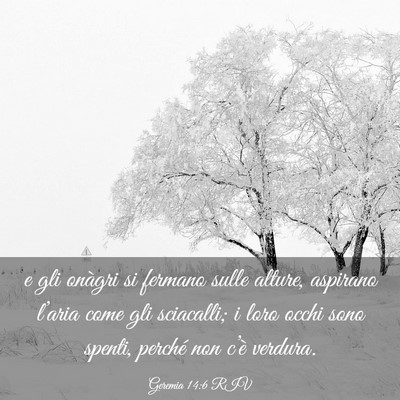 Picture 03 - Geremia 14:6 RIV - e gli onàgri si fermano sulle alture, aspirano - Bible Verse Picture