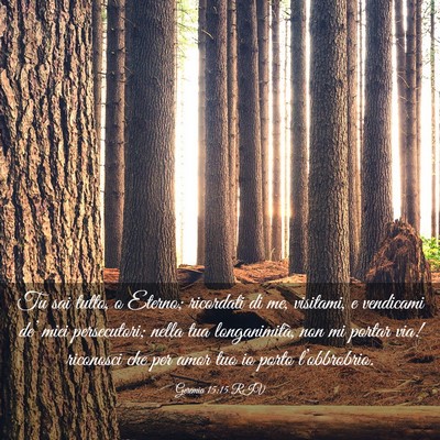 Picture 03 - Geremia 15:15 RIV - Tu sai tutto, o Eterno; ricordati di me, - Bible Verse Picture