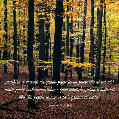 Picture 03 - Geremia 16:13 RIV - perciò io vi caccerò da questo paese in un - Bible Verse Picture