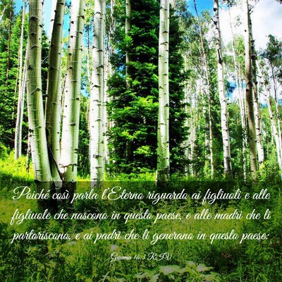 Picture 03 - Geremia 16:3 RIV - Poiché così parla l’Eterno riguardo ai - Bible Verse Picture