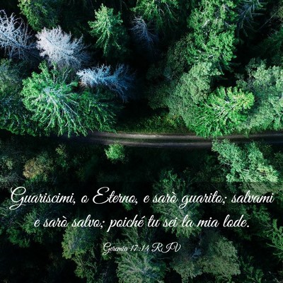 Picture 03 - Geremia 17:14 RIV - Guariscimi, o Eterno, e sarò guarito; salvami e - Bible Verse Picture