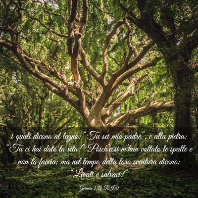 Picture 03 - Geremia 2:27 RIV - i quali dicono al legno: “Tu sei mio padre”, - Bible Verse Picture