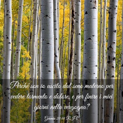 Picture 03 - Geremia 20:18 RIV - Perché son io uscito dal seno materno per vedere - Bible Verse Picture