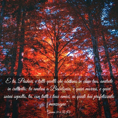 Picture 03 - Geremia 20:6 RIV - E tu, Pashur, e tutti quelli che abitano in casa - Bible Verse Picture