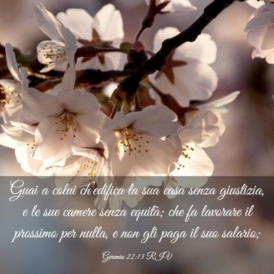 Picture 03 - Geremia 22:13 RIV - Guai a colui ch’edifica la sua casa senza - Bible Verse Picture