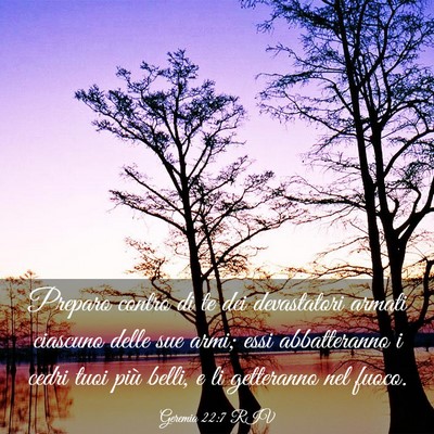 Picture 03 - Geremia 22:7 RIV - Preparo contro di te dei devastatori armati - Bible Verse Picture