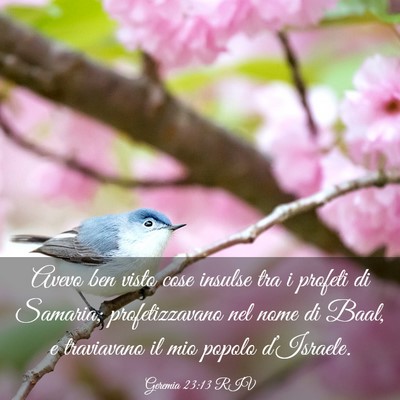 Picture 03 - Geremia 23:13 RIV - Avevo ben visto cose insulse tra i profeti di - Bible Verse Picture
