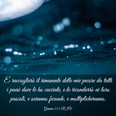 Picture 03 - Geremia 23:3 RIV - E raccoglierò il rimanente delle mie pecore da - Bible Verse Picture