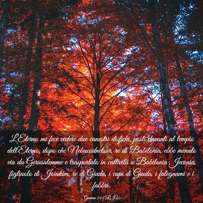 Picture 03 - Geremia 24:1 RIV - L’Eterno mi fece vedere due canestri di fichi, - Bible Verse Picture