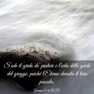 Picture 03 - Geremia 25:36 RIV - S’ode il grido de’ pastori e l’urlo delle - Bible Verse Picture
