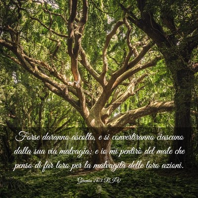 Picture 03 - Geremia 26:3 RIV - Forse daranno ascolto, e si convertiranno - Bible Verse Picture
