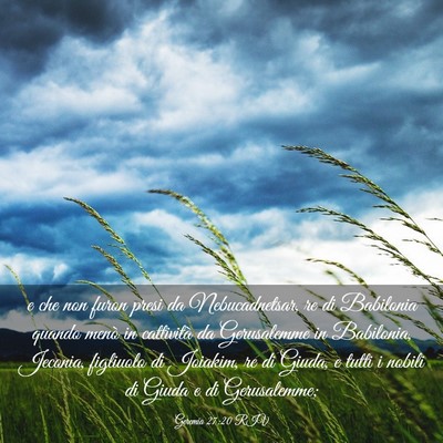 Picture 03 - Geremia 27:20 RIV - e che non furon presi da Nebucadnetsar, re di - Bible Verse Picture