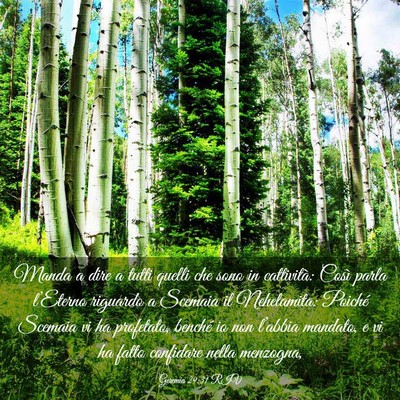 Picture 03 - Geremia 29:31 RIV - Manda a dire a tutti quelli che sono in - Bible Verse Picture