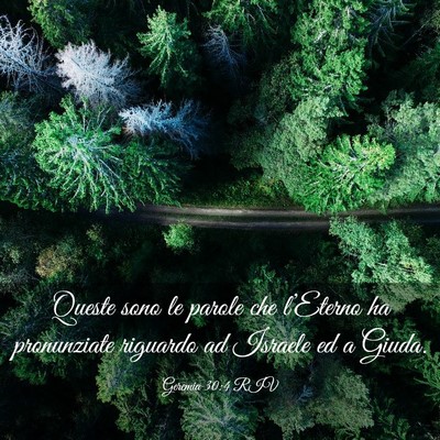 Picture 03 - Geremia 30:4 RIV - Queste sono le parole che l’Eterno ha - Bible Verse Picture