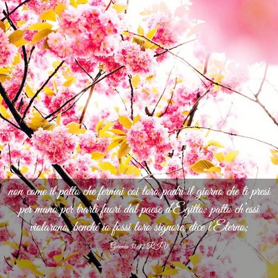 Picture 03 - Geremia 31:32 RIV - non come il patto che fermai coi loro padri il - Bible Verse Picture