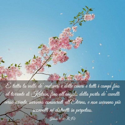 Picture 03 - Geremia 31:40 RIV - E tutta la valle de’ cadaveri e delle ceneri e - Bible Verse Picture