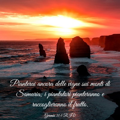 Picture 03 - Geremia 31:5 RIV - Pianterai ancora delle vigne sui monti di - Bible Verse Picture