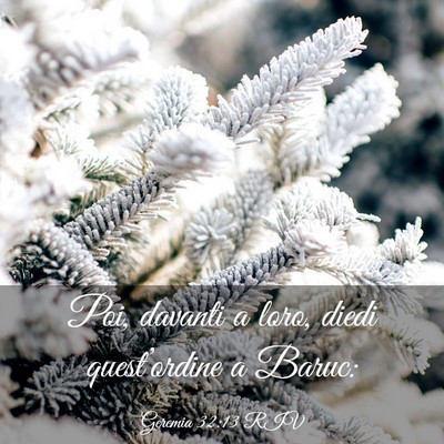 Picture 03 - Geremia 32:13 RIV - Poi, davanti a loro, diedi quest’ordine a - Bible Verse Picture