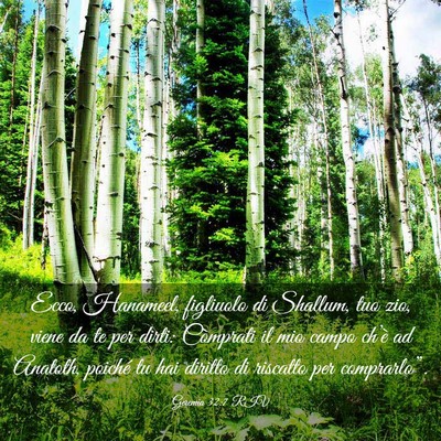 Picture 03 - Geremia 32:7 RIV - Ecco, Hanameel, figliuolo di Shallum, tuo zio, - Bible Verse Picture