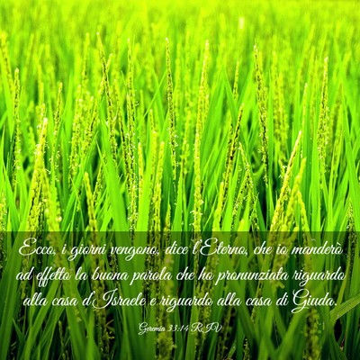 Picture 03 - Geremia 33:14 RIV - Ecco, i giorni vengono, dice l’Eterno, che io - Bible Verse Picture