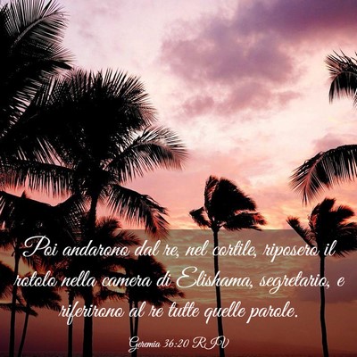 Picture 03 - Geremia 36:20 RIV - Poi andarono dal re, nel cortile, riposero il - Bible Verse Picture