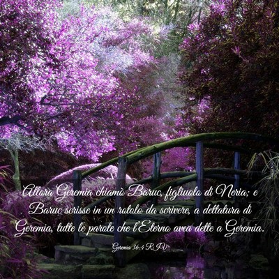 Picture 03 - Geremia 36:4 RIV - Allora Geremia chiamò Baruc, figliuolo di Neria; - Bible Verse Picture