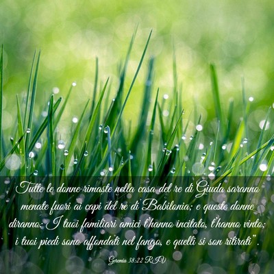 Picture 03 - Geremia 38:22 RIV - Tutte le donne rimaste nella casa del re di Giuda - Bible Verse Picture