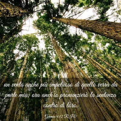 Picture 03 - Geremia 4:12 RIV - un vento anche più impetuoso di quello verrà da - Bible Verse Picture