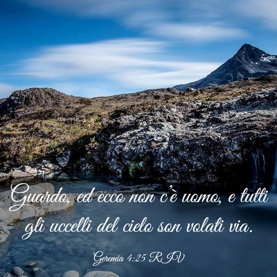 Picture 03 - Geremia 4:25 RIV - Guardo, ed ecco non c’è uomo, e tutti gli - Bible Verse Picture